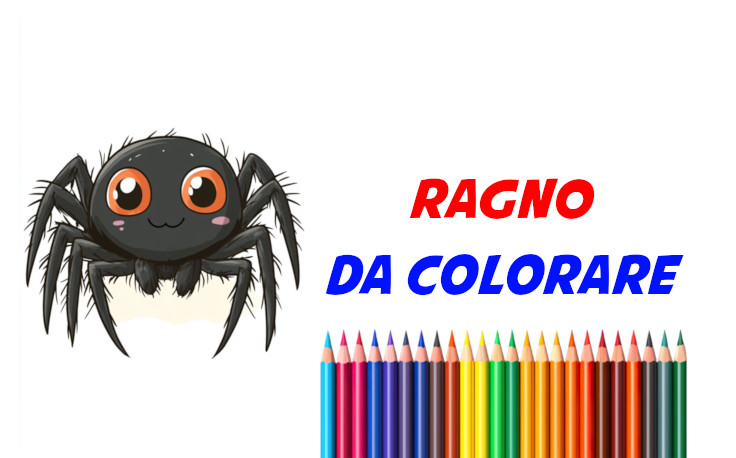 ragno da colorare