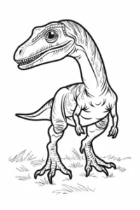 disegni dinosauri da colorare