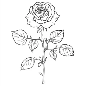 disegni di rose a matita