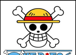 disegni one piece