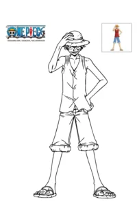 one piece disegno