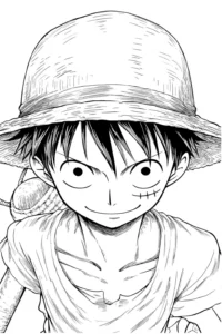one piece disegno