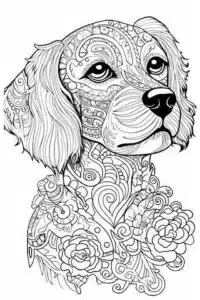 disegno mandala