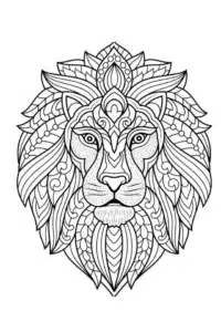 mandala disegni