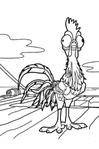 oceania disegno