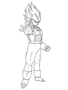 disegni vegeta