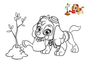 paw patrol skye da colorare