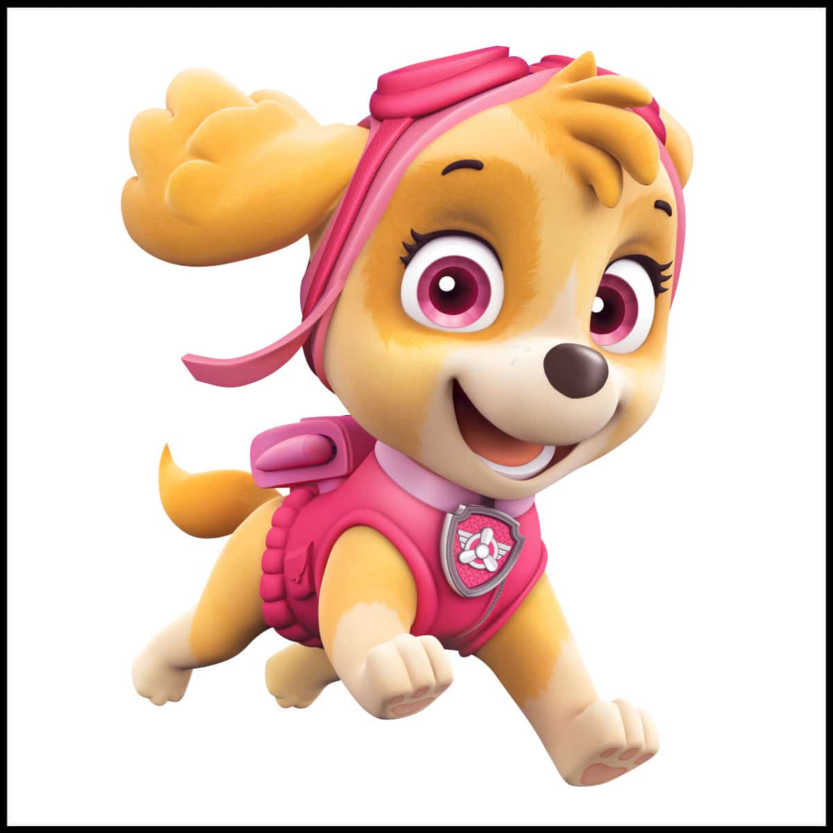 sky paw patrol da colorare