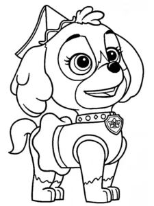 skye paw patrol da colorare