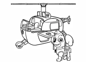 skye paw patrol disegno