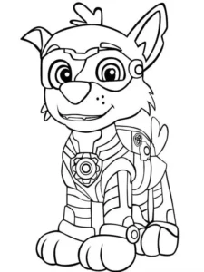 super paw patrol rocky