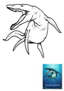 dinosauri marini da colorare dinosauri marini da colorare